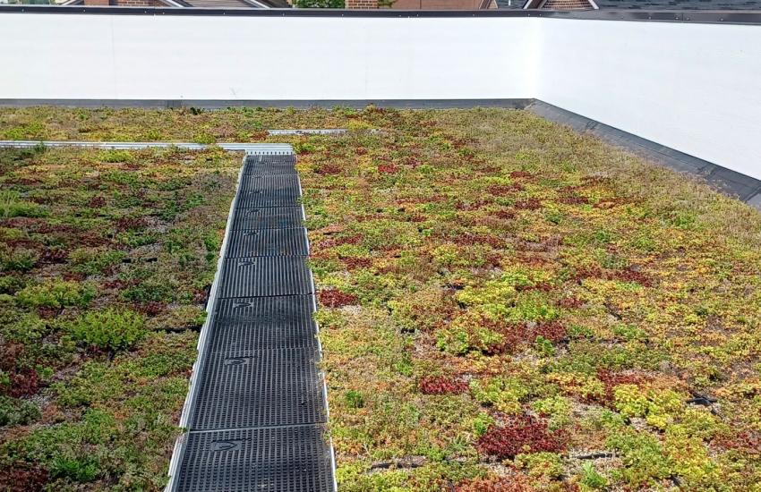 Gary Lillie AnnArbor Builders